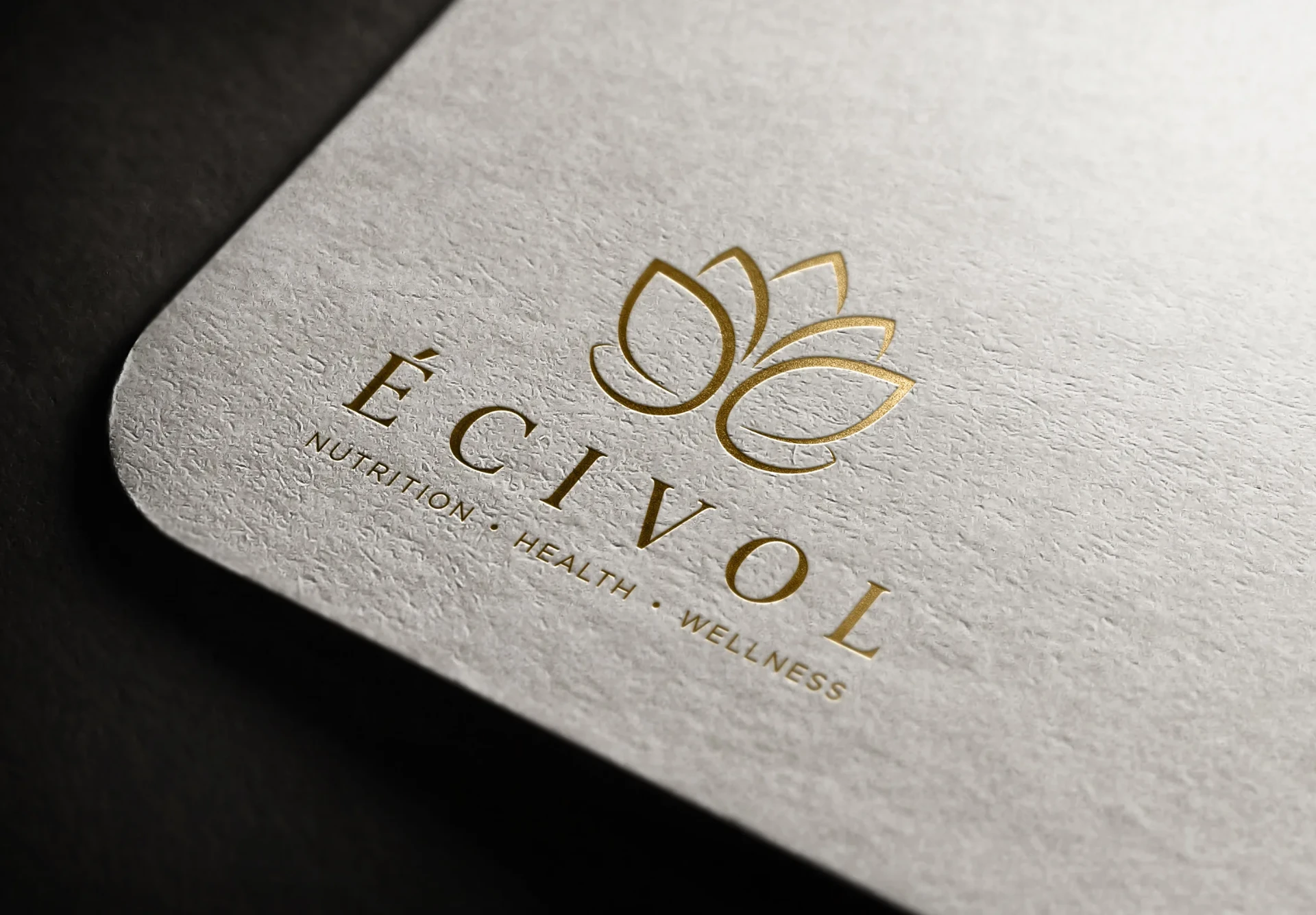Logo ECIVOL